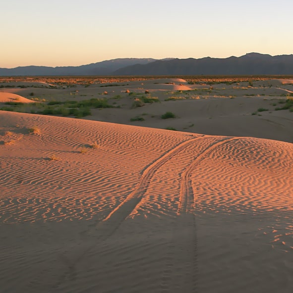 Visitar las Dunas de Bilbao – COAHUILA, MARAVILLAS NATURALES